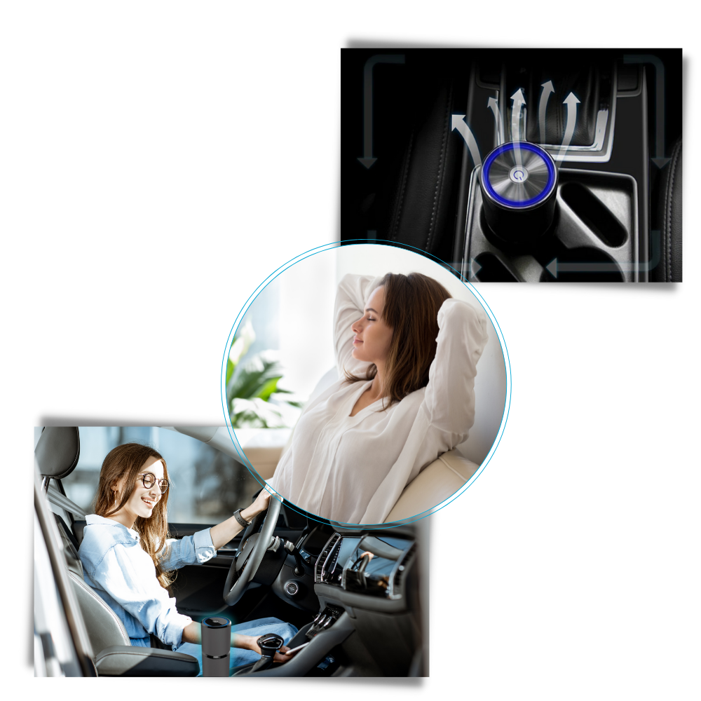 Purificateur d'air ionique