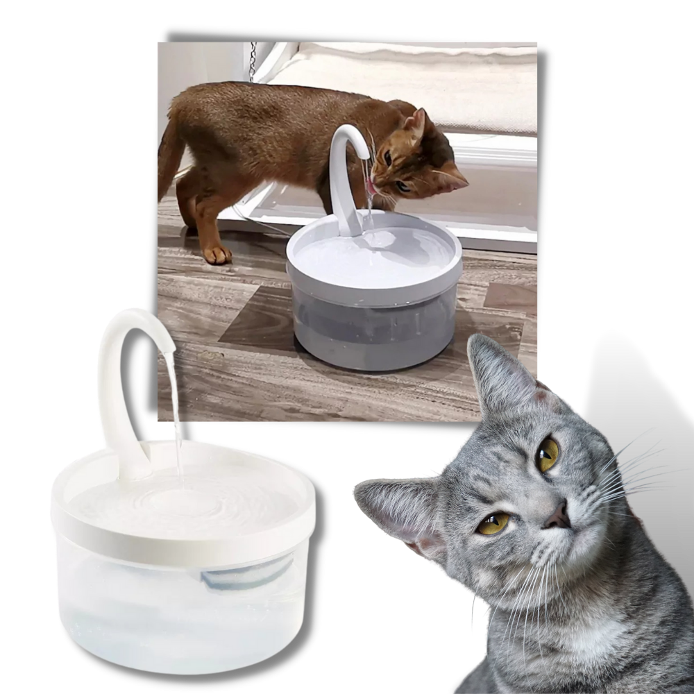 Fontaine d'eau automatique pour chat avec lumière LED