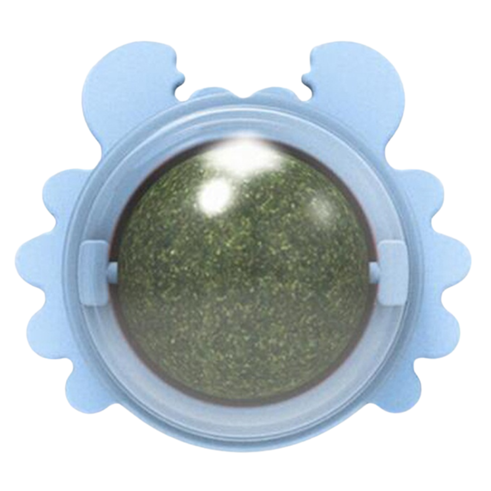 Jouet boule de menthe rotative pour chat