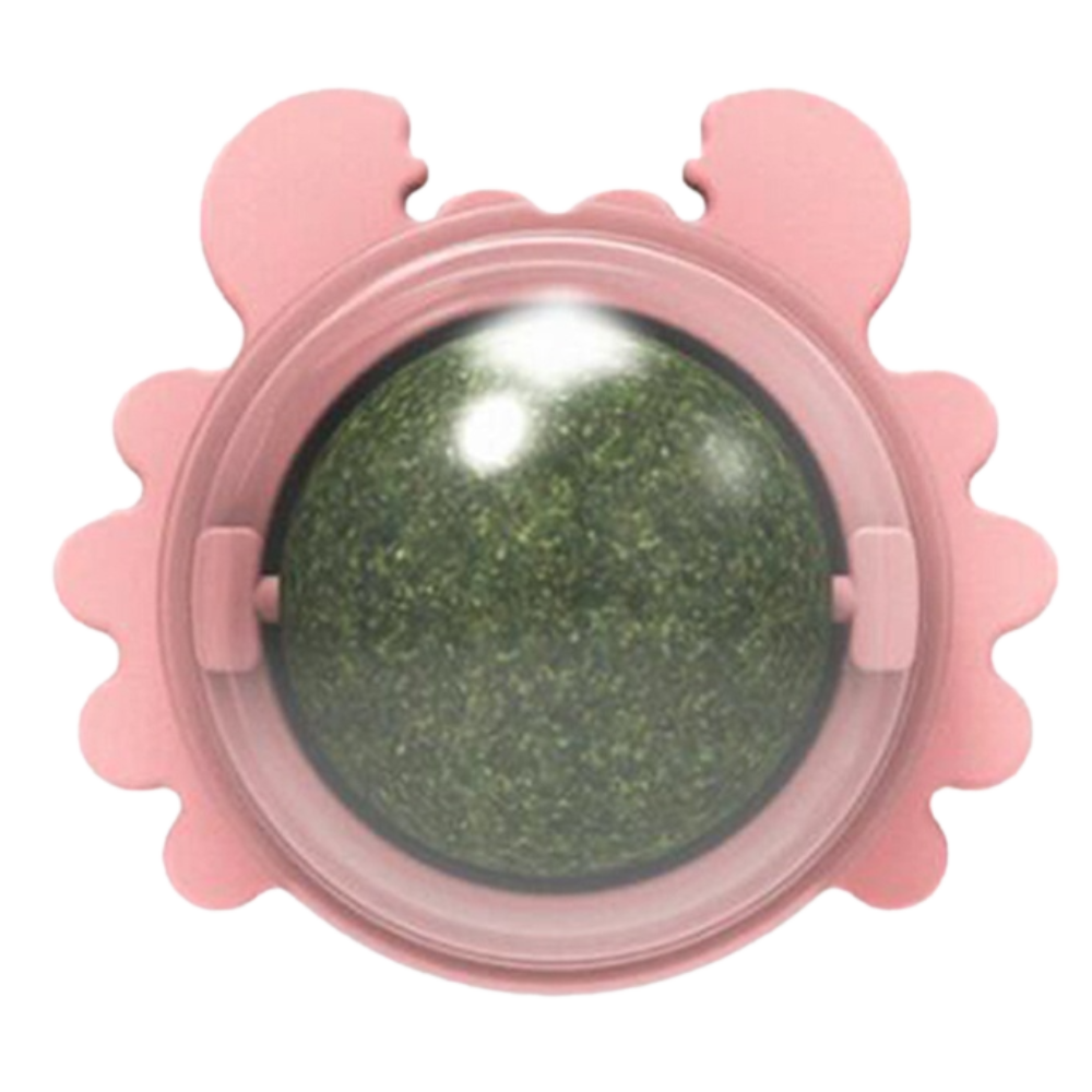 Jouet boule de menthe rotative pour chat