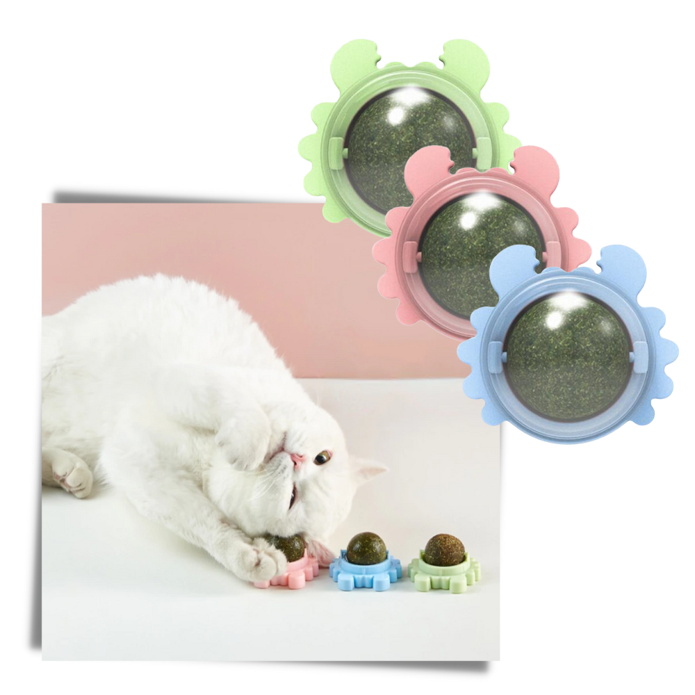 Jouet boule de menthe rotative pour chat