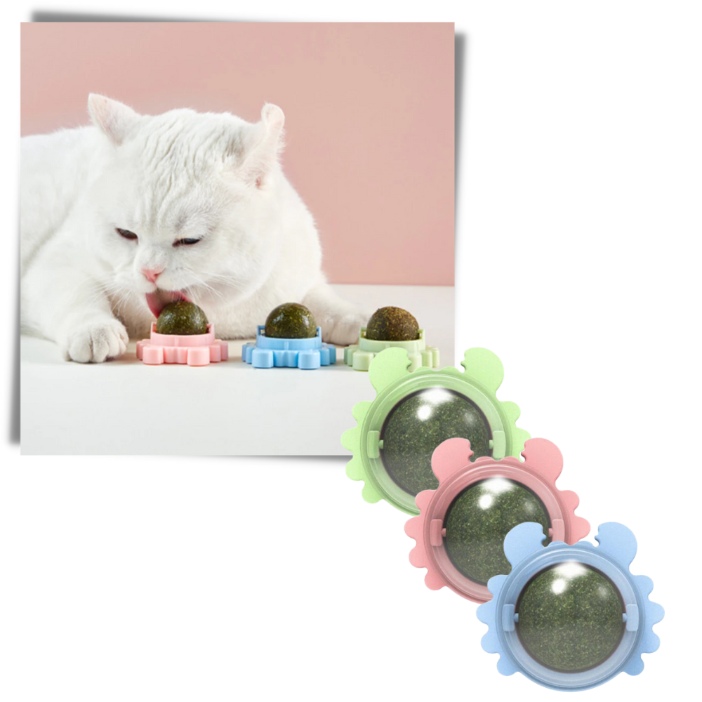 Jouet boule de menthe rotative pour chat
