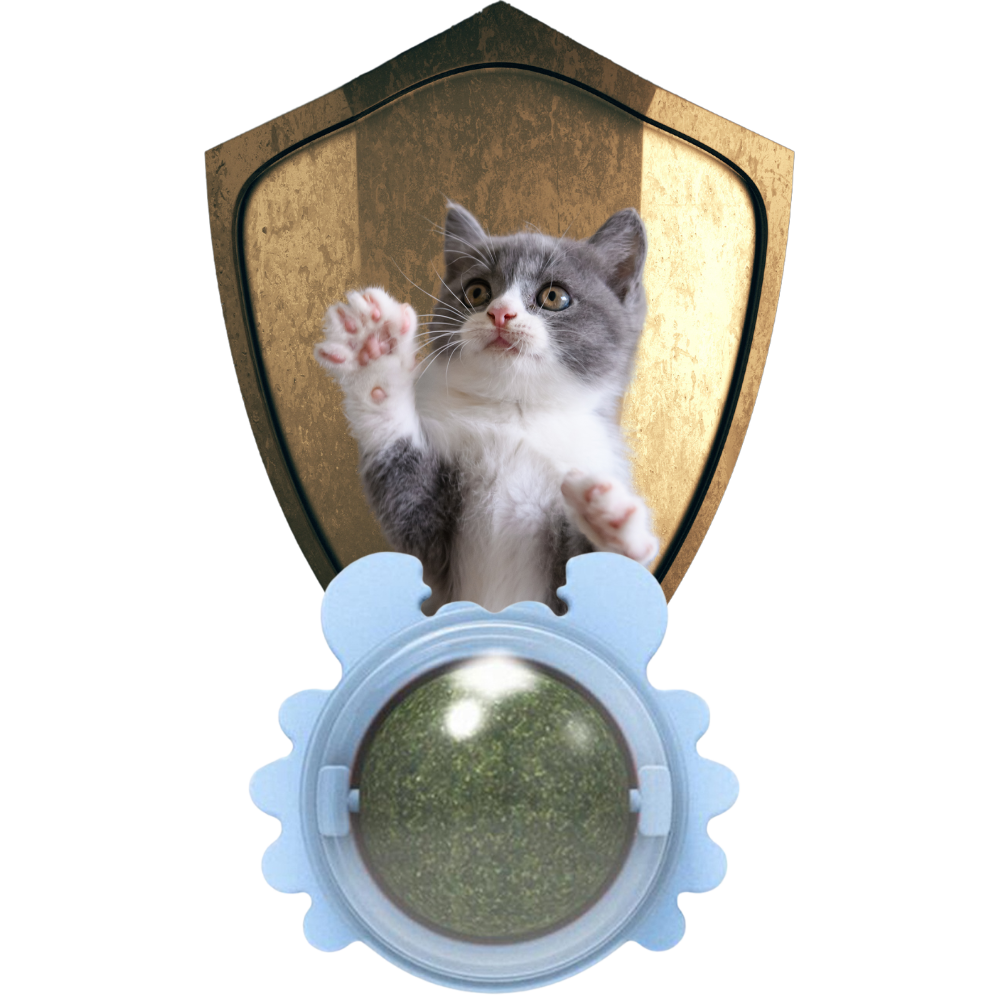 Jouet boule de menthe rotative pour chat