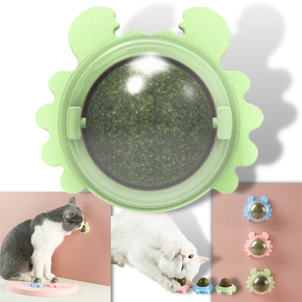 Jouet boule de menthe rotative pour chat