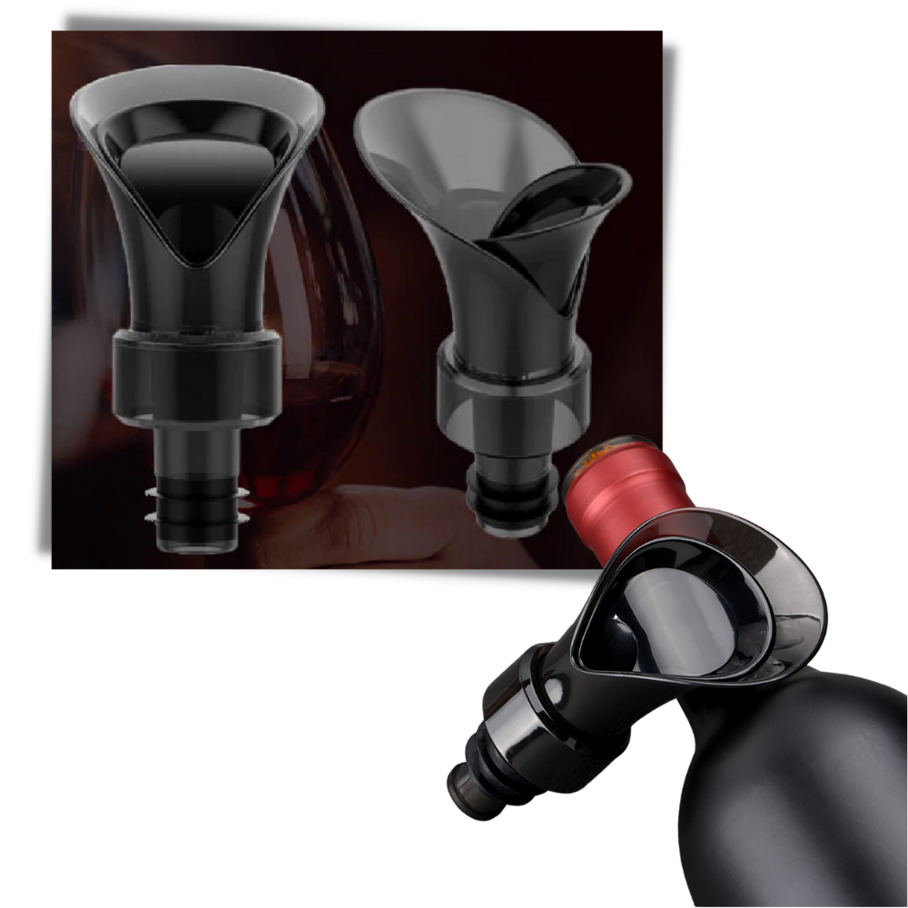 Décanteur de vin 2-en-1 avec bouchon