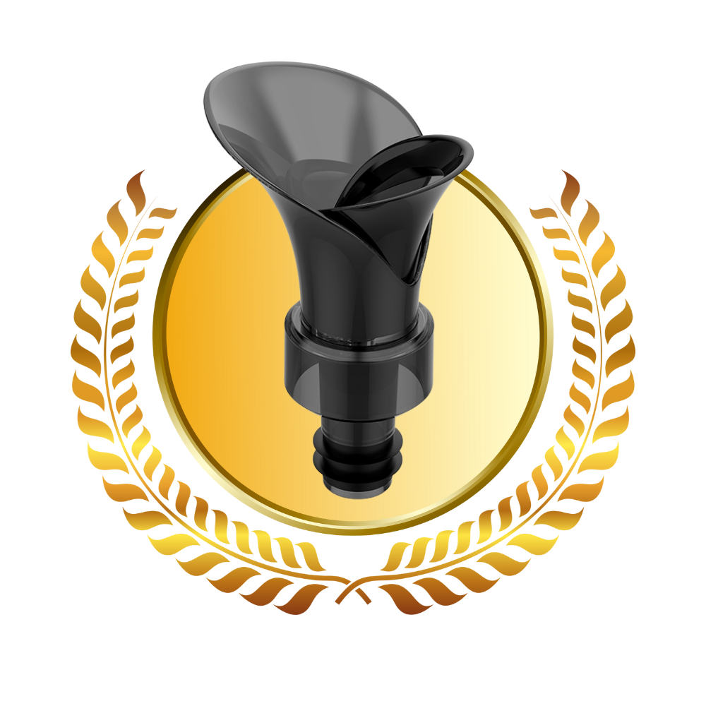 Décanteur de vin 2-en-1 avec bouchon