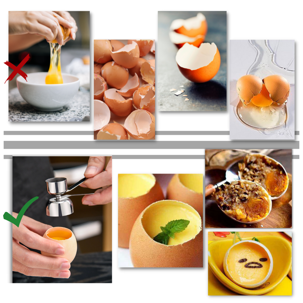 Ouvre coquilles d'œufs