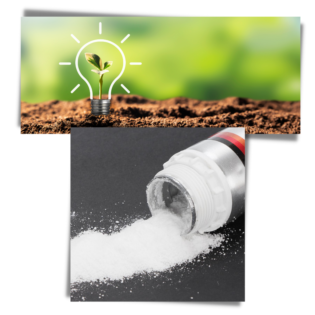 Attractant pour poissons