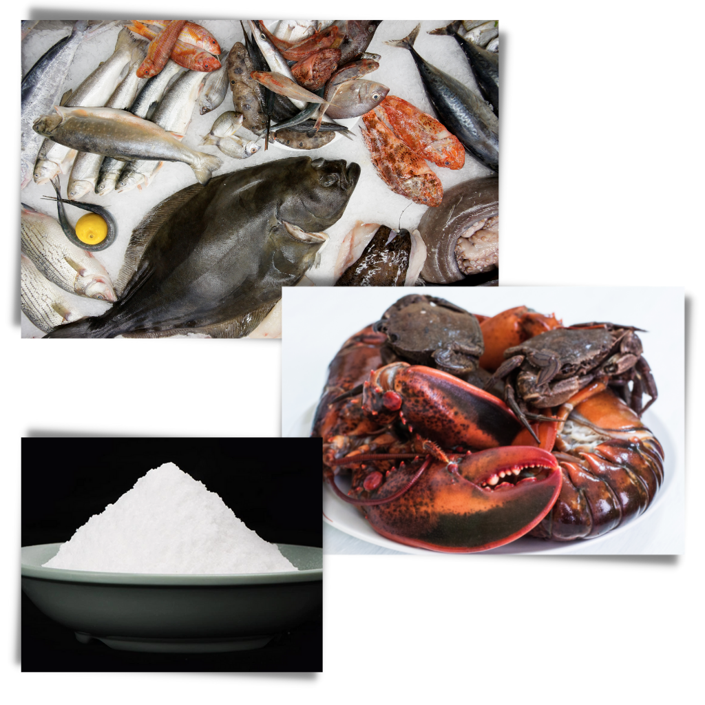 Attractant pour poissons