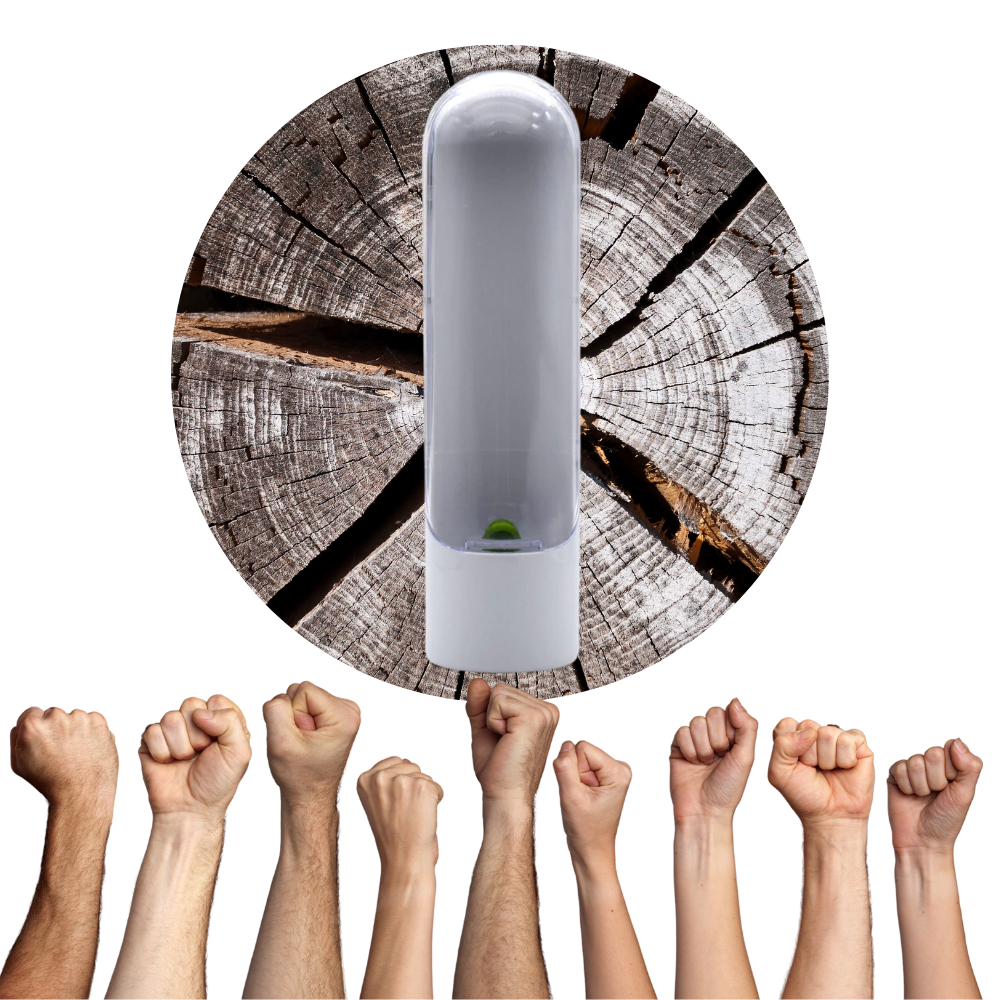 Récipient de conservation des herbes fraîches