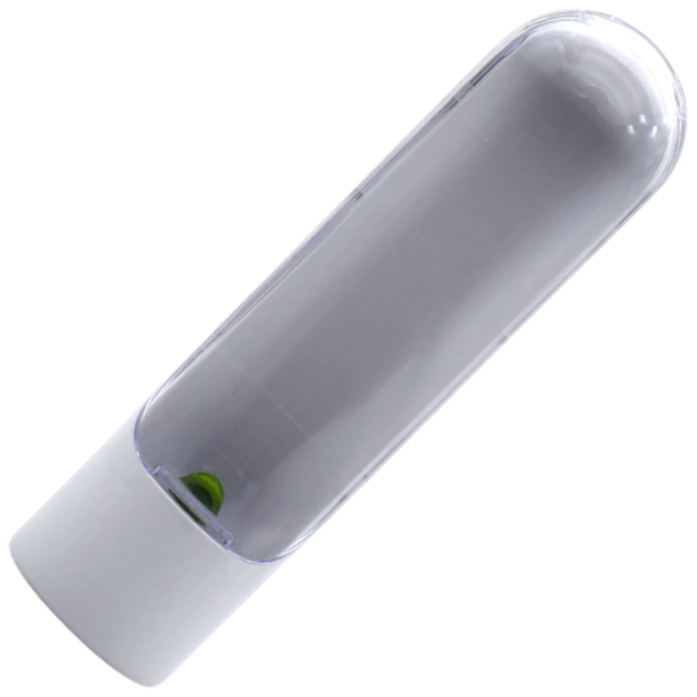 Récipient de conservation des herbes fraîches