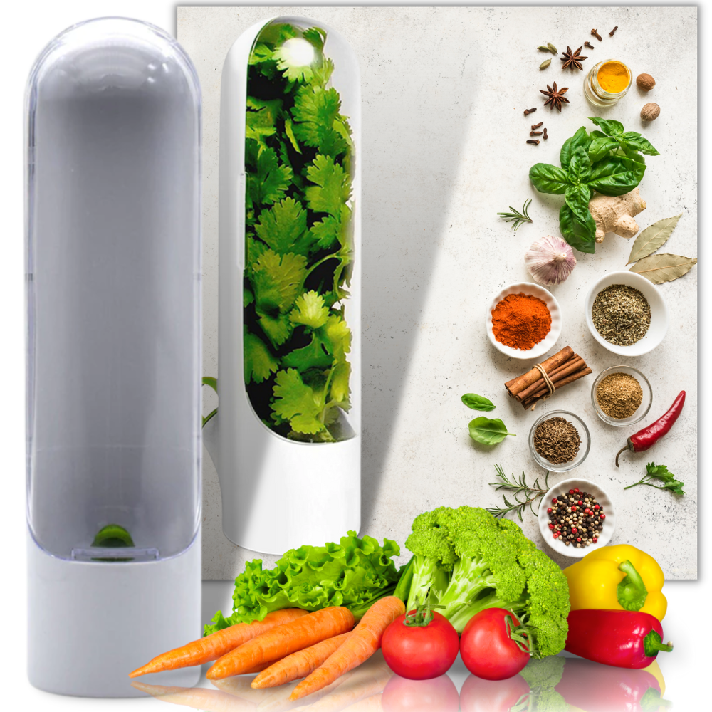 Récipient de conservation des herbes fraîches