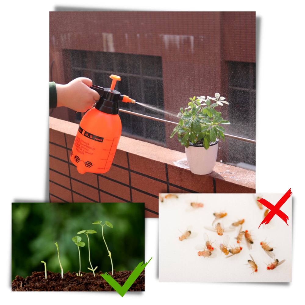 Pulvérisateur de jardin à pompe