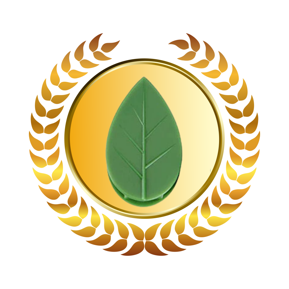 Lot de 20 attaches adhésives en forme de feuille