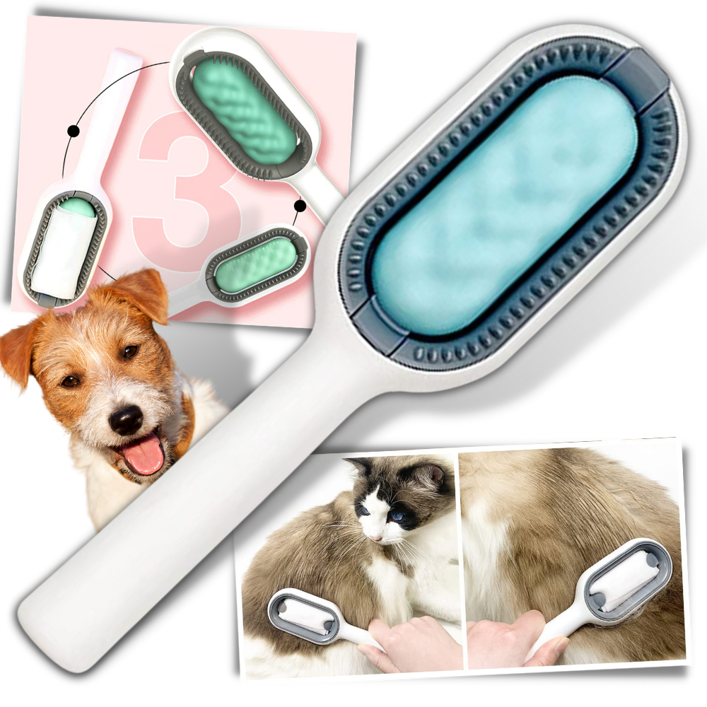 Brosse de toilettage pour animaux