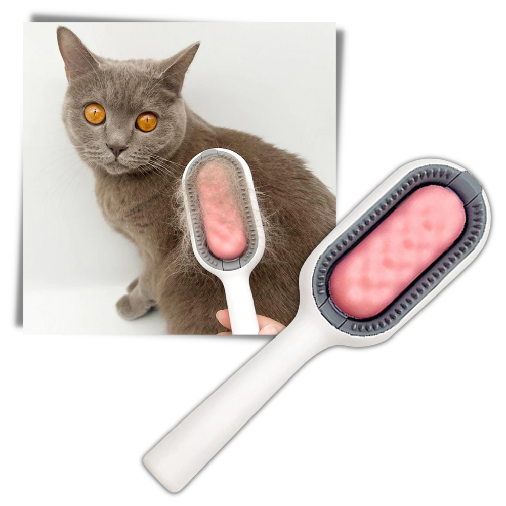 Brosse de toilettage pour animaux