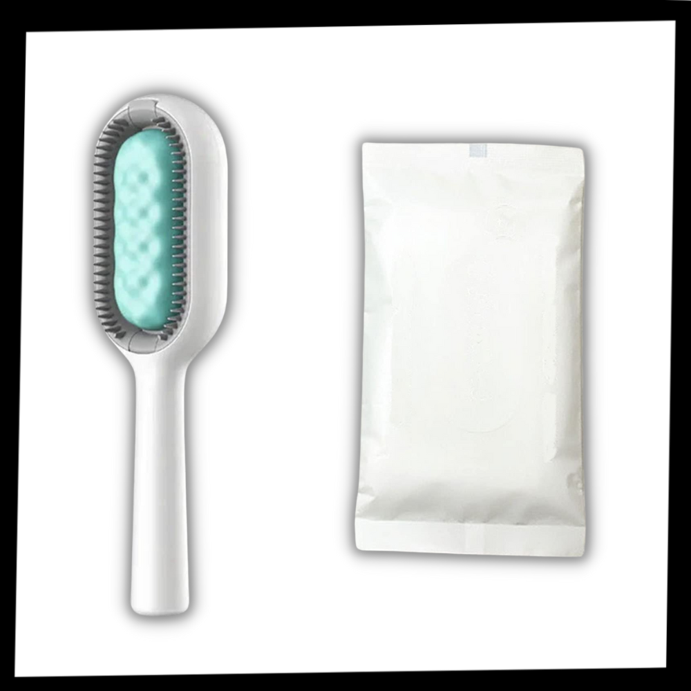 Brosse de toilettage pour animaux