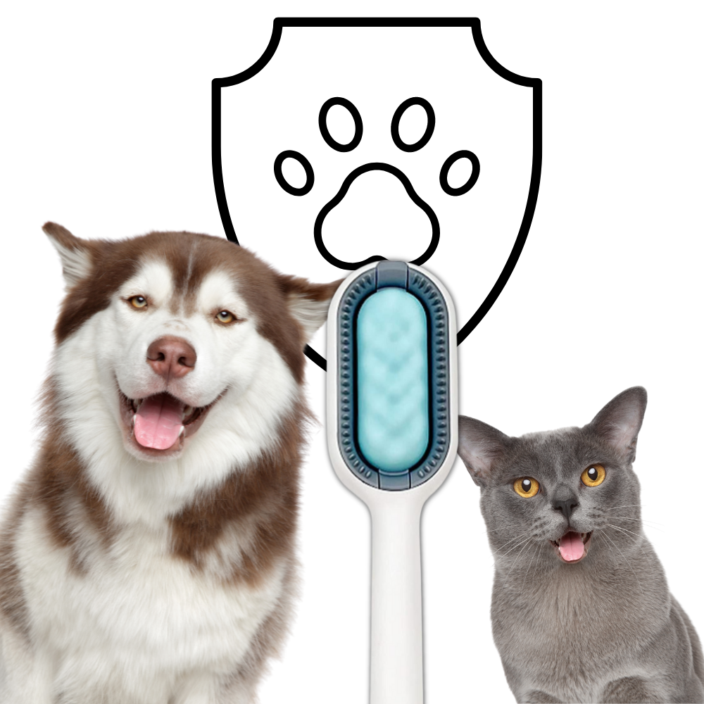 Brosse de toilettage pour animaux