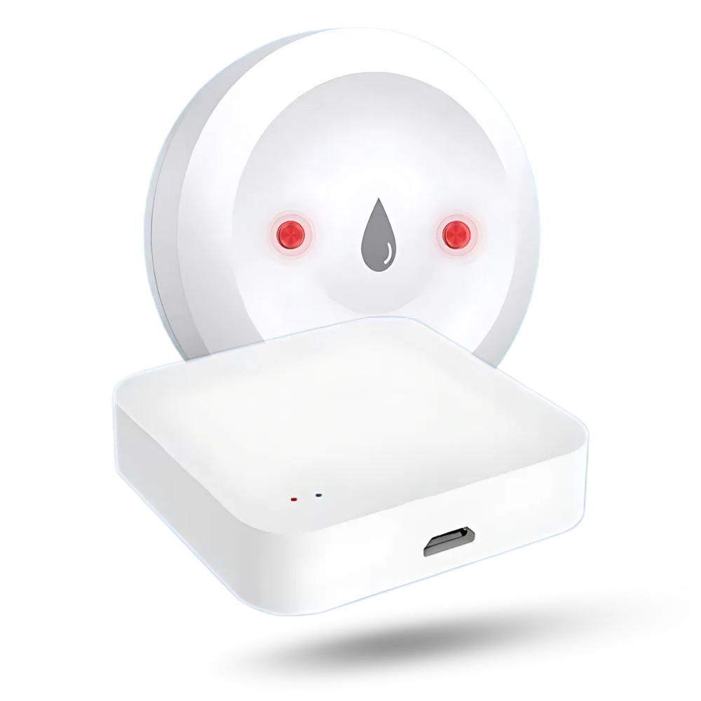 Capteur de fuite d'eau sans fil