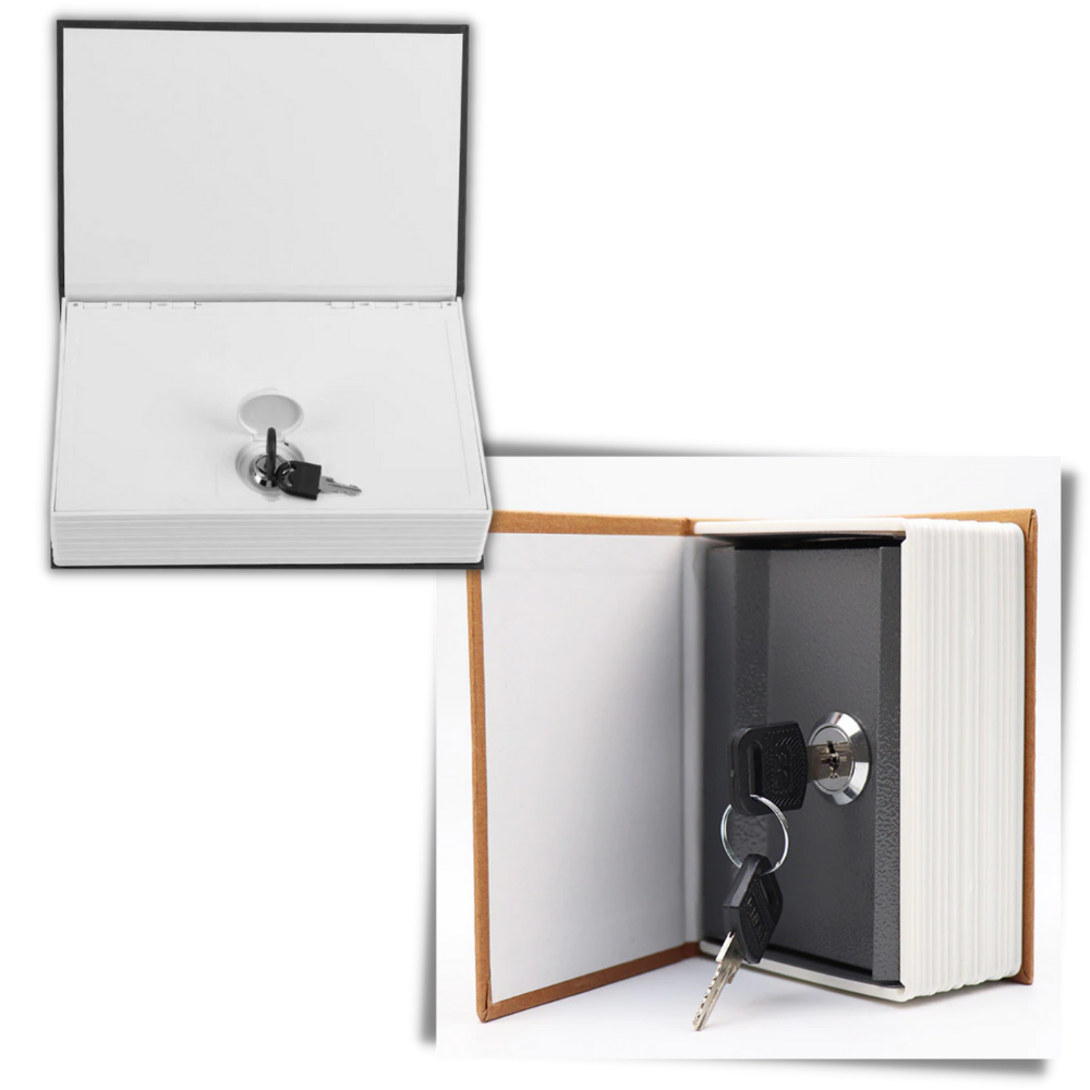 Coffre de sécurité en forme de dictionnaire