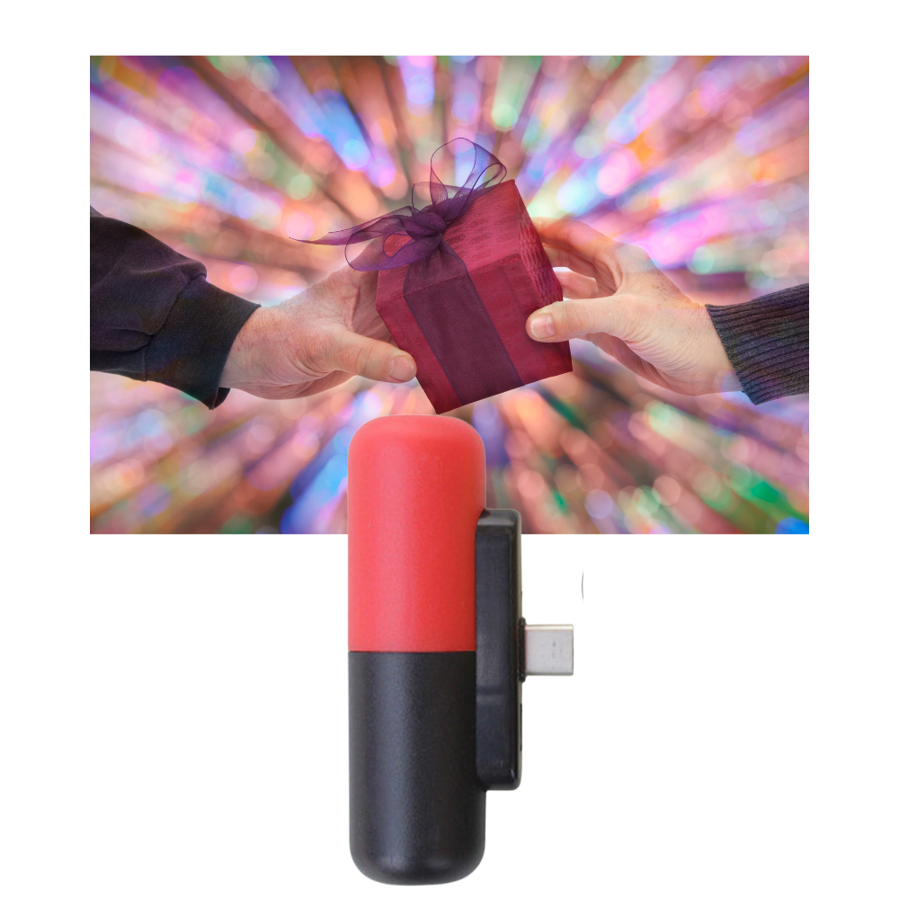 Mini-chargeur portable en forme de capsule