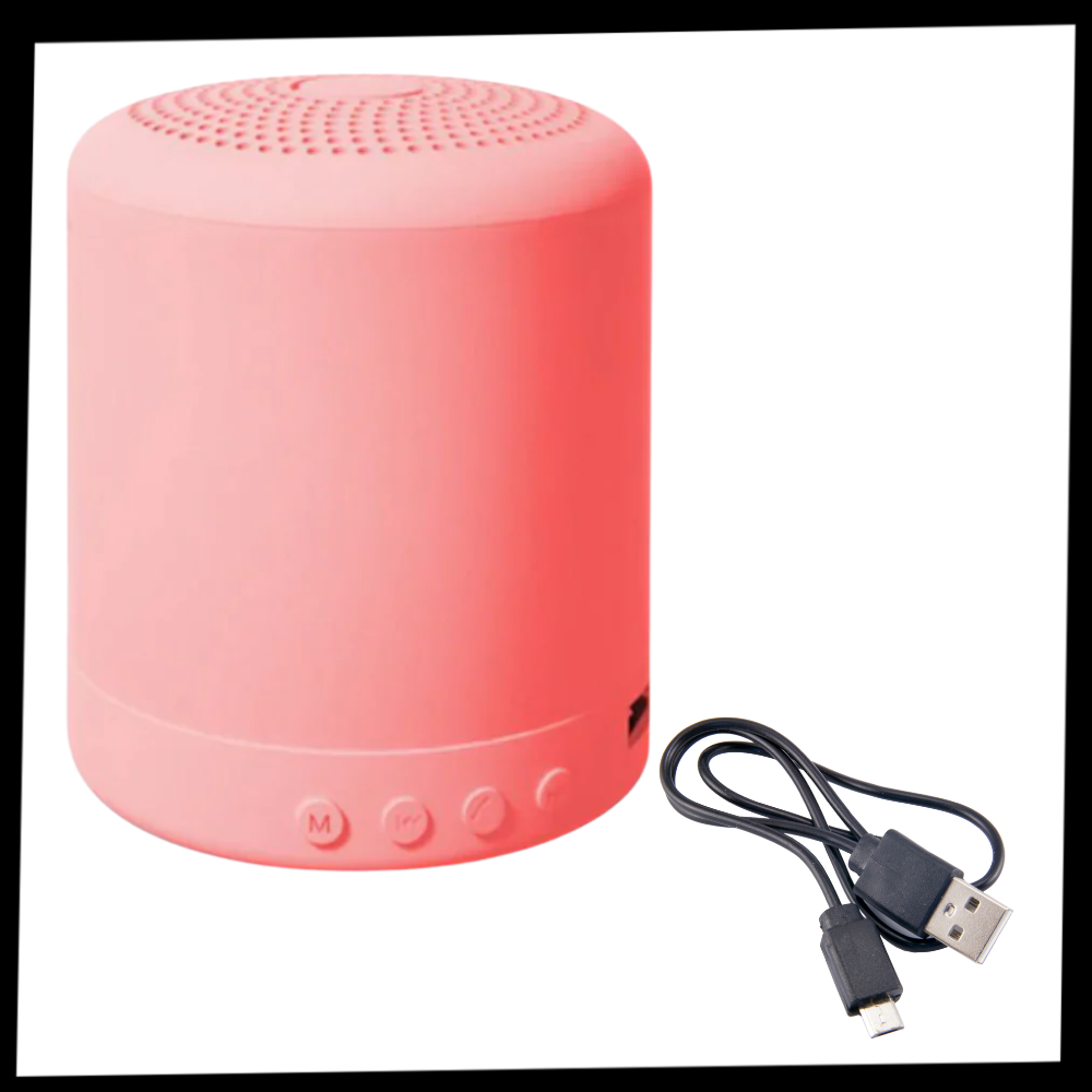 Mini haut-parleur Bluetooth