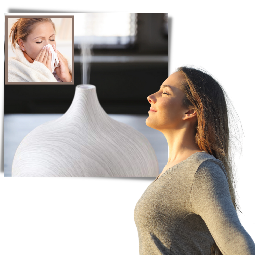 Diffuseur d'huiles essentielles et humidificateur