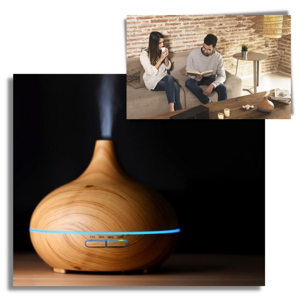 Diffuseur d'huiles essentielles et humidificateur