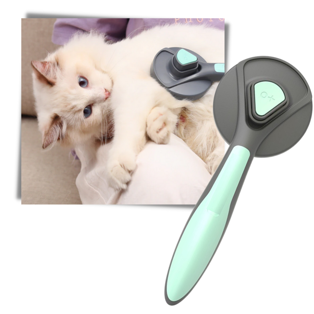 Brosse spéciale pour animaux de compagnie