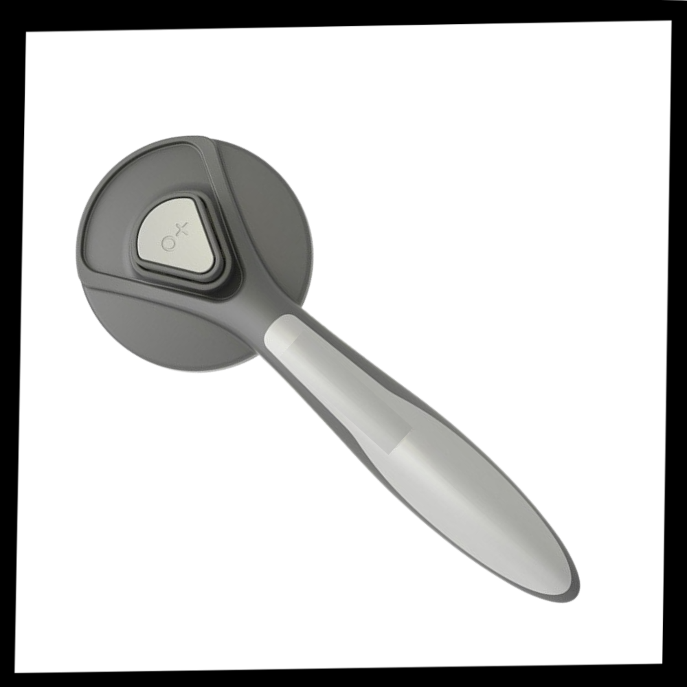 Brosse spéciale pour animaux de compagnie