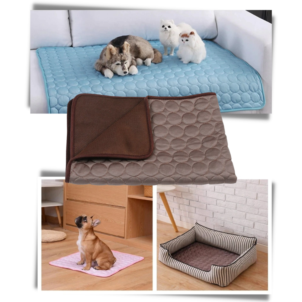 Tapis réfrigérant pour animaux de compagnie
