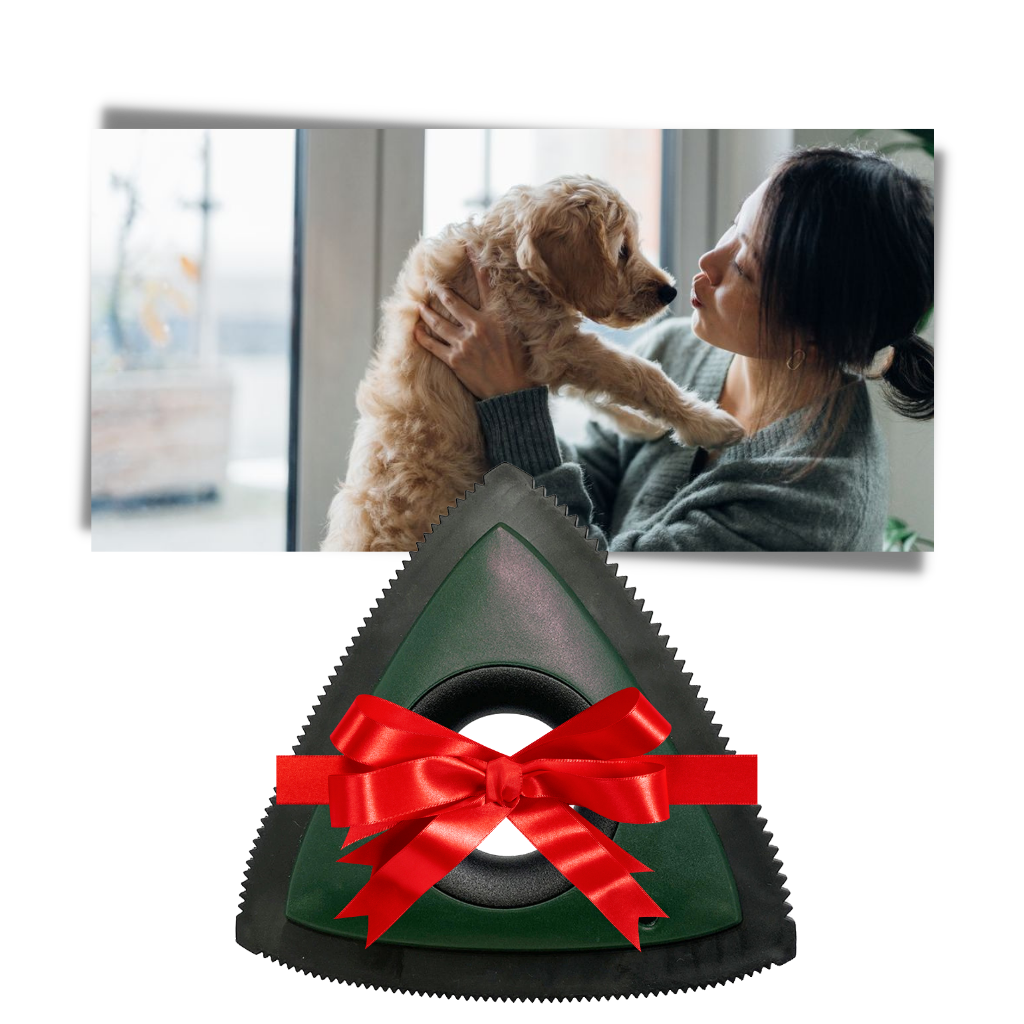 Rouleau anti-poils d'animaux