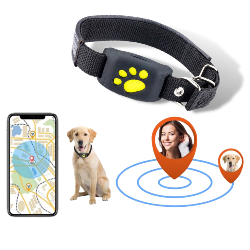 Collier de repérage GPS pour animaux de compagnie