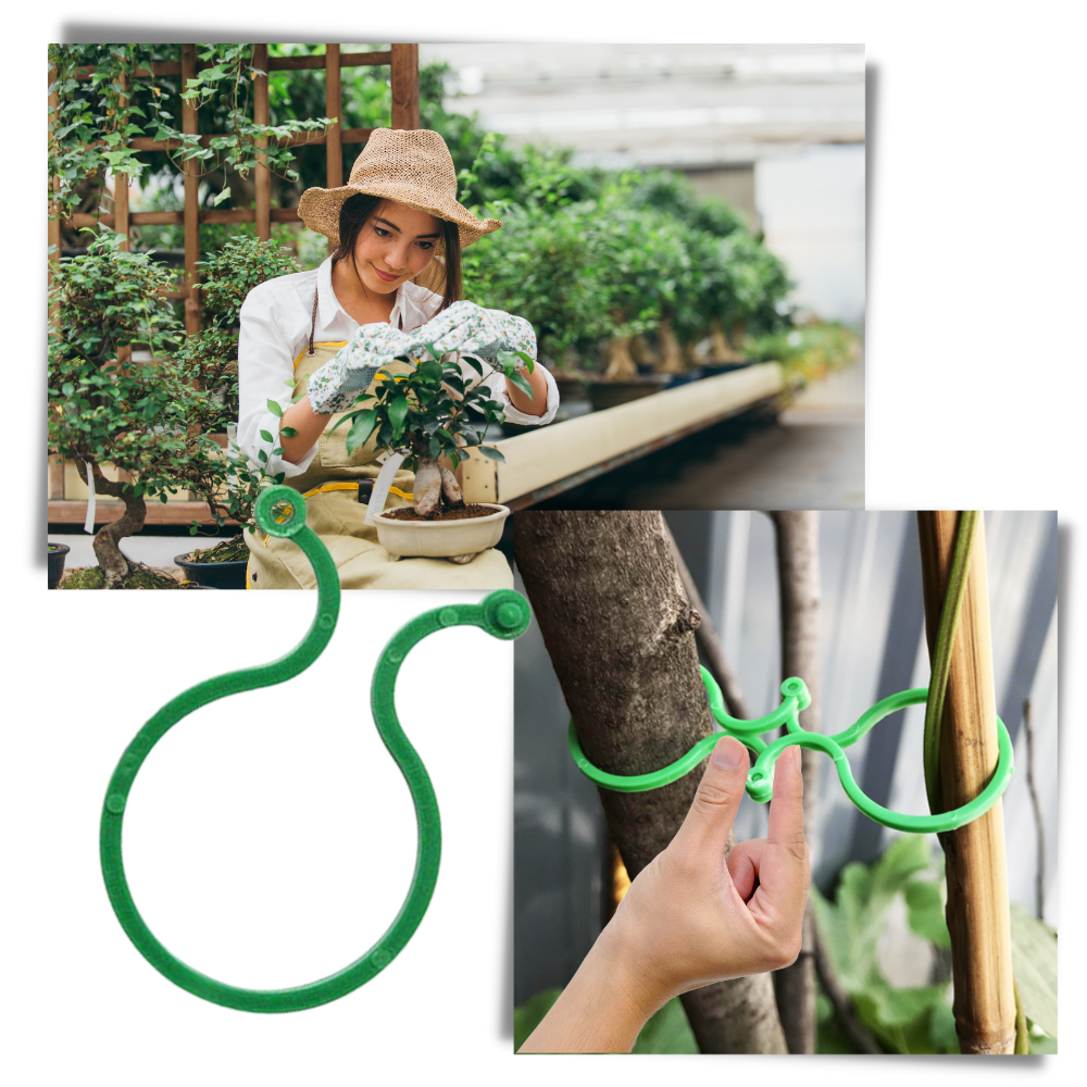 Lot d'attaches pour plantes de jardin