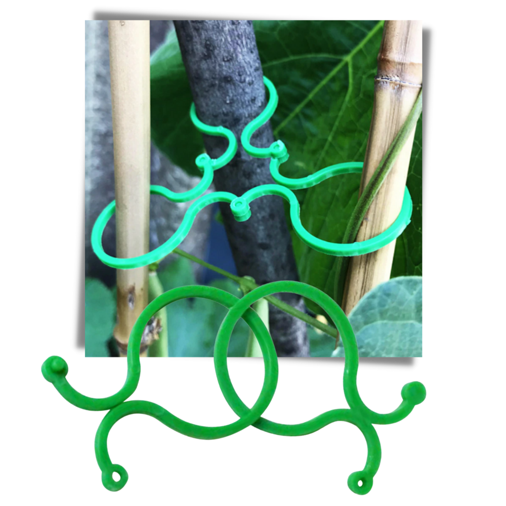 Lot d'attaches pour plantes de jardin