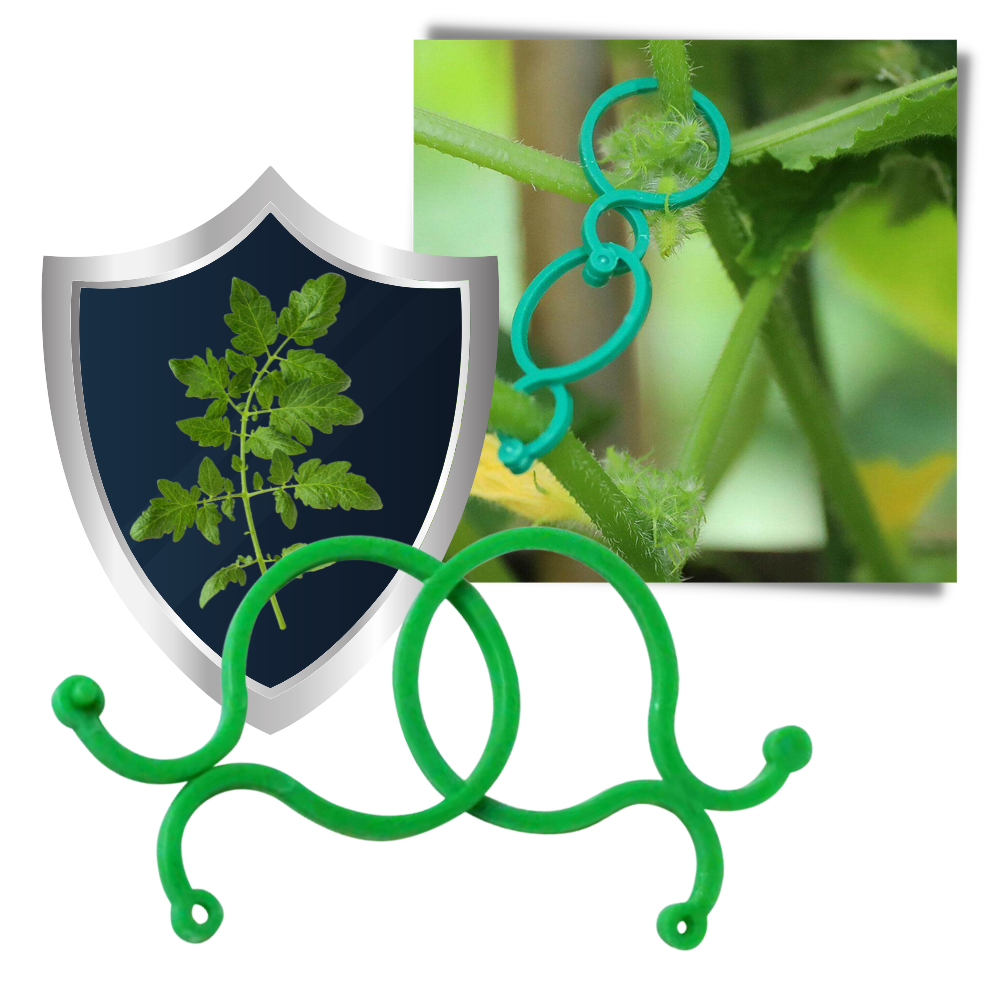 Lot d'attaches pour plantes de jardin