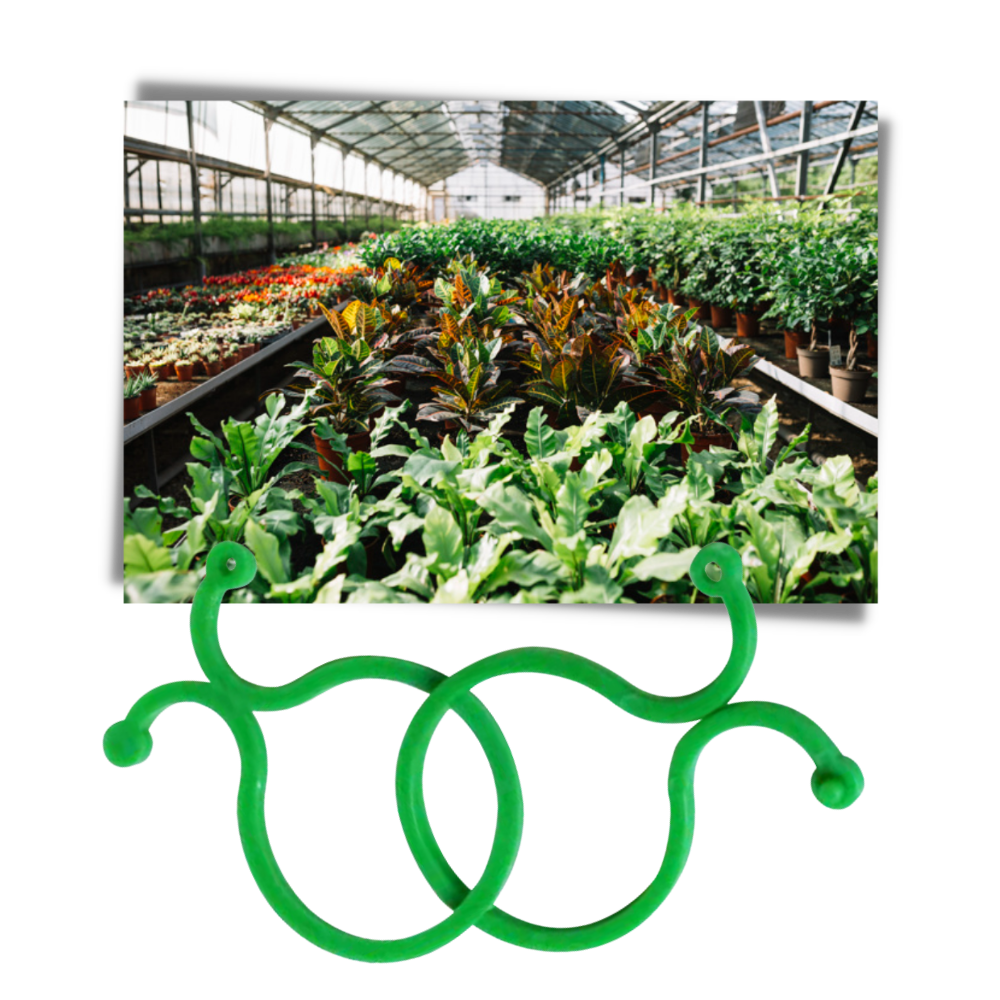 Lot d'attaches pour plantes de jardin