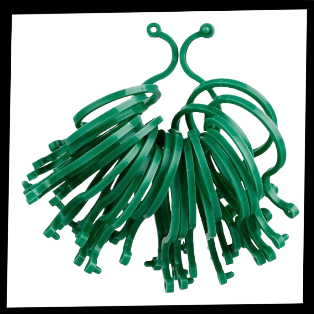 Lot d'attaches pour plantes de jardin