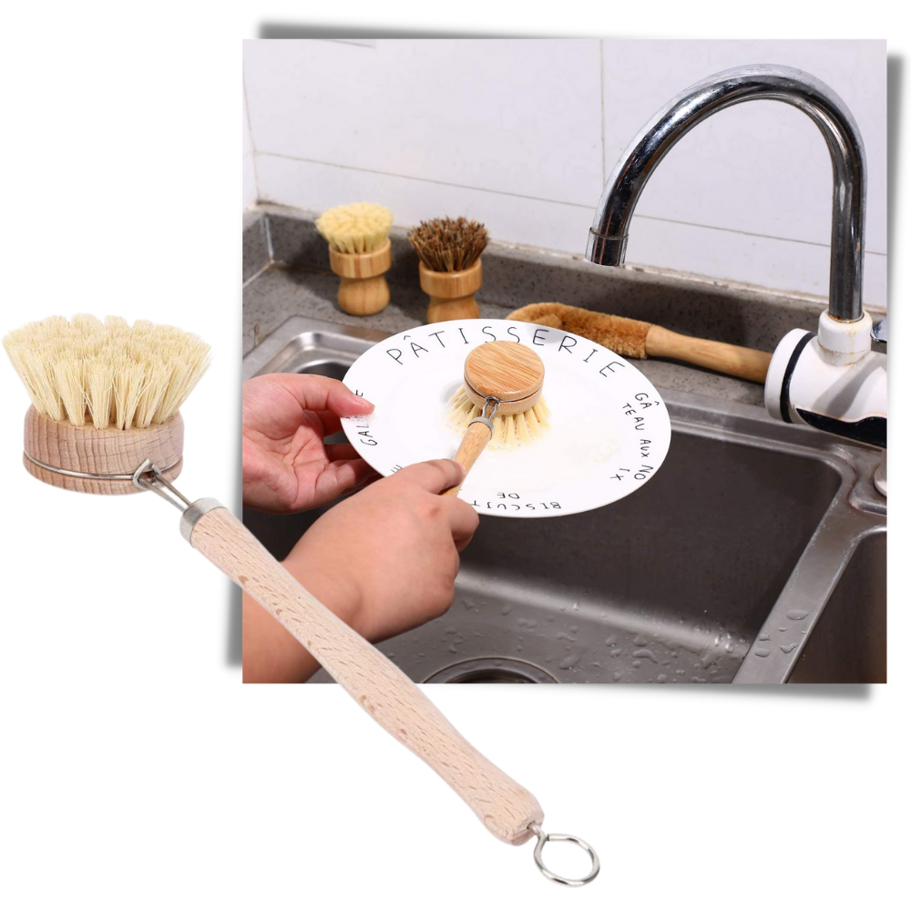 Brosse à récurer écologique