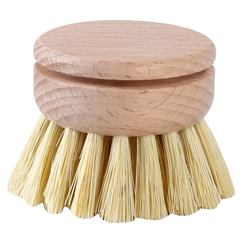 Brosse à récurer écologique