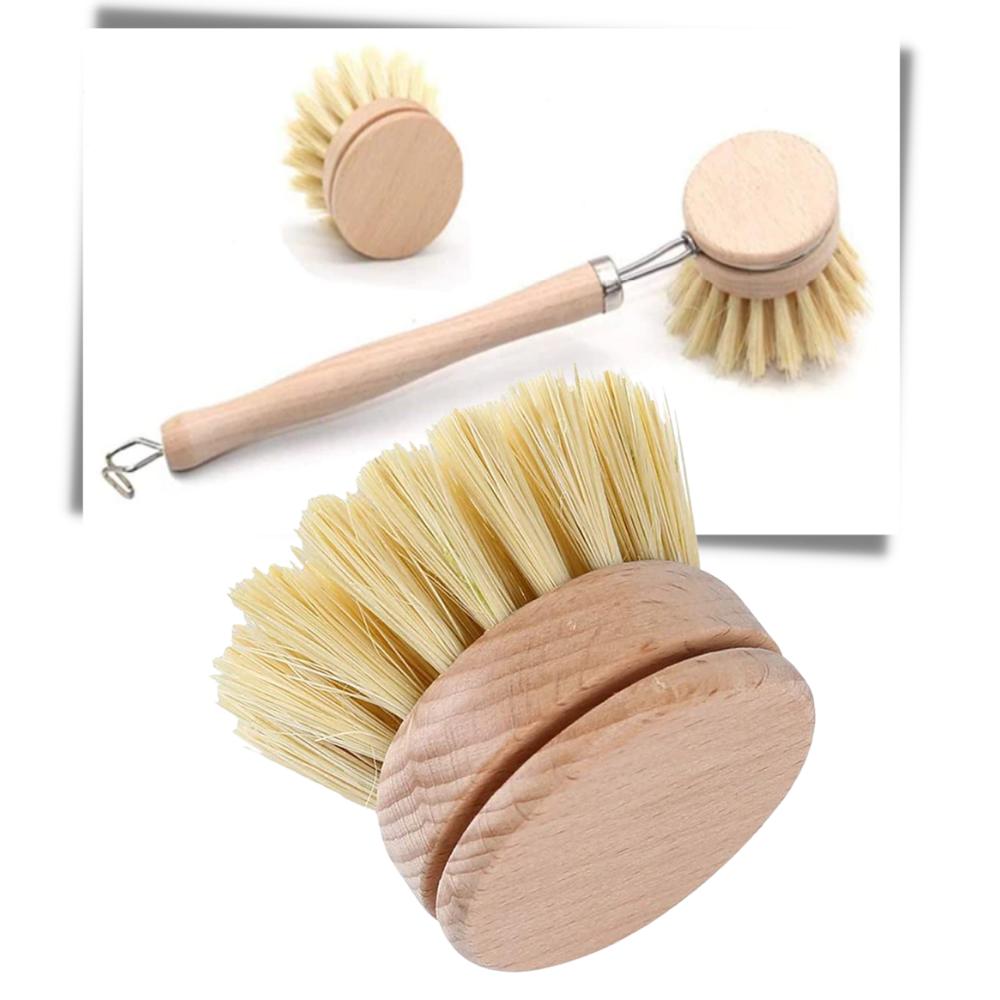Brosse à récurer écologique