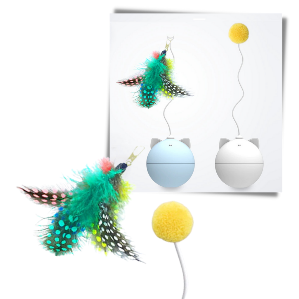 Balle -Jouet pour chat avec fonction d'auto-roulement