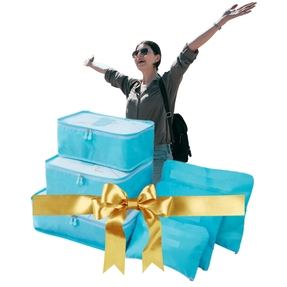 Lot de 6 petits sacs de voyage pour valise