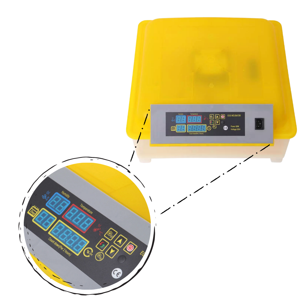 Incubateur automatique d'oeufs (48 oeufs)
