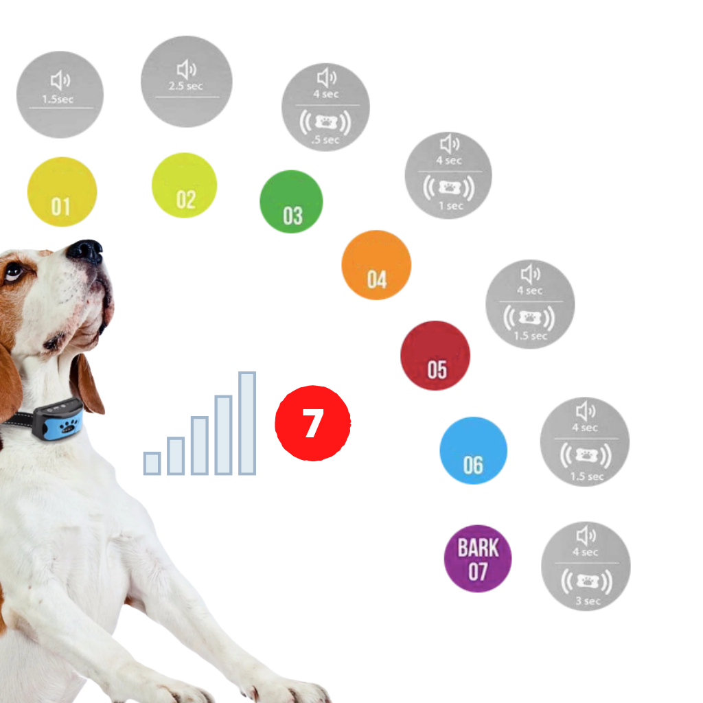 Collier anti-aboiement