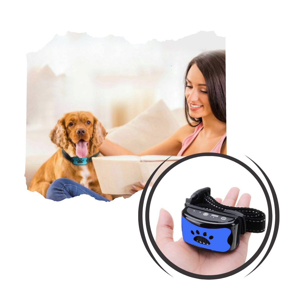 Collier anti-aboiement