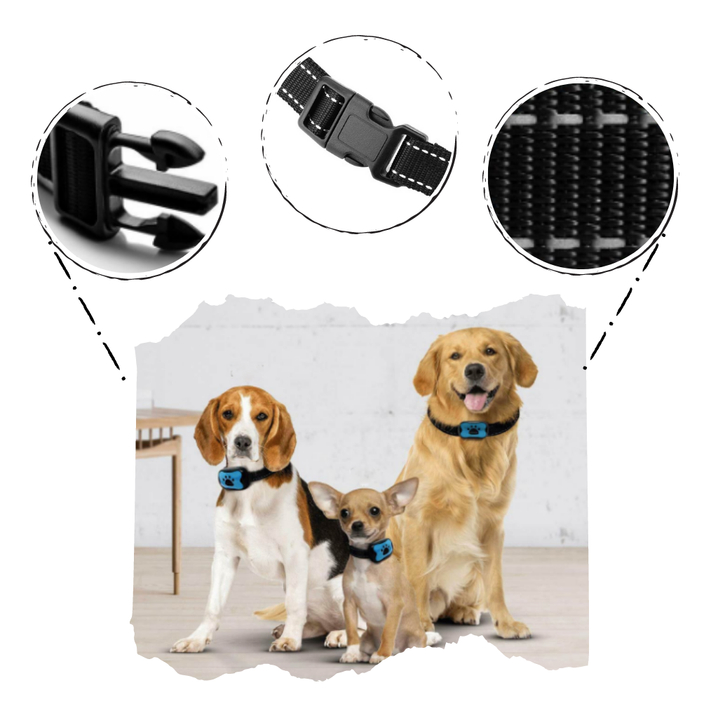 Collier anti-aboiement