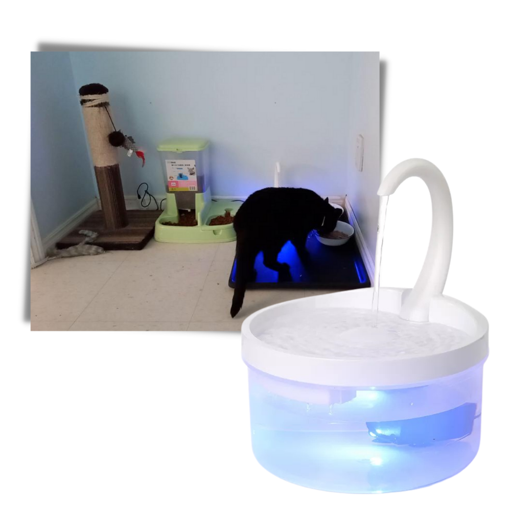 Fontaine d'eau automatique pour chat avec lumière LED
