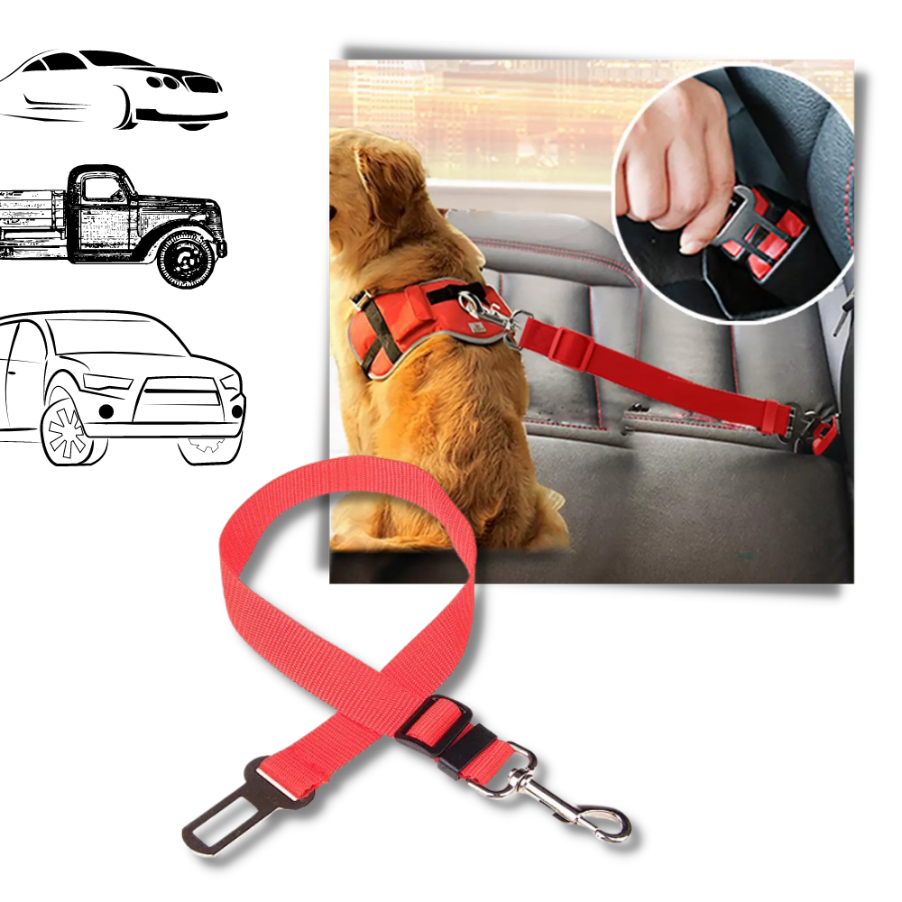 Ceinture de sécurité réglable pour chiens en voiture