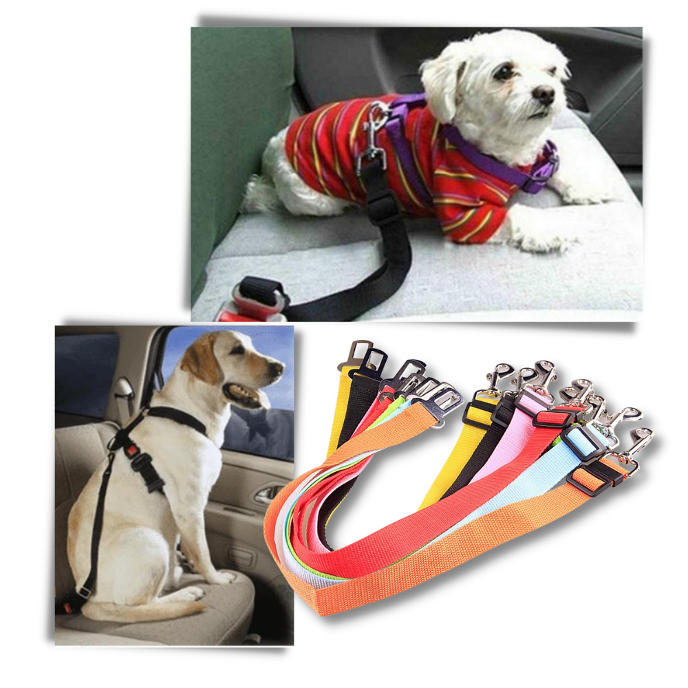 Ceinture de sécurité réglable pour chiens en voiture